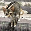 Thumbnail photo of Meredith #4