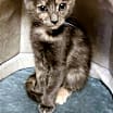 Thumbnail photo of Brooke #1