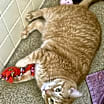 Thumbnail photo of Jack #1