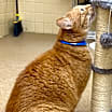 Thumbnail photo of Jack #4