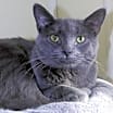 Thumbnail photo of Hayden #3