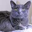 Thumbnail photo of Hayden #4