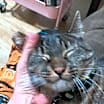 Thumbnail photo of Handsome!! #2
