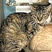 Thumbnail photo of Pootie #3