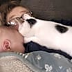 Thumbnail photo of Gabe #4