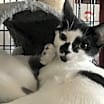 Thumbnail photo of Stella #2