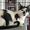 Thumbnail photo of Stella #3