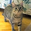 Thumbnail photo of Vera #4