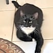 Thumbnail photo of Maggie #1