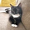 Thumbnail photo of Maggie #2