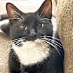 Thumbnail photo of Maggie #3