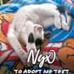 Thumbnail photo of Nyx #3