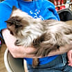 Thumbnail photo of Alpha Centauri #2