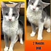 Thumbnail photo of Jill #1