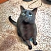 Thumbnail photo of Everett #2