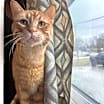 Thumbnail photo of Templeton #1