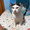 Thumbnail photo of Bernard #1