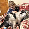 Thumbnail photo of Bernard #4