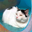 Thumbnail photo of Ashley #1