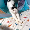 Thumbnail photo of Ashley #2