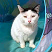 Thumbnail photo of Ashley #3