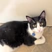 Thumbnail photo of Teko #1