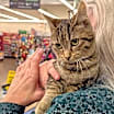 Thumbnail photo of Elisabeth #4