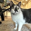 Thumbnail photo of Lola #1