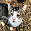 Thumbnail photo of Lola #1