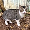 Thumbnail photo of Lola #2
