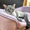Thumbnail photo of Otis #2