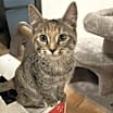Thumbnail photo of Sofia #1