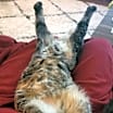 Thumbnail photo of Sofia #2