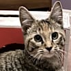 Thumbnail photo of Sofia #3