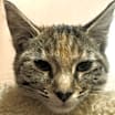 Thumbnail photo of Sofia #4