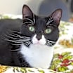 Thumbnail photo of Missy #3