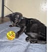 Thumbnail photo of Nova #2
