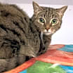 Thumbnail photo of Lena #1