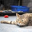 Thumbnail photo of Lena #2