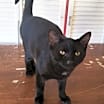 Thumbnail photo of Lilith #1