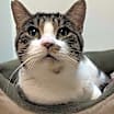 Thumbnail photo of Jerry #2