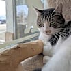 Thumbnail photo of Jerry #3