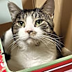 Thumbnail photo of Jerry #4