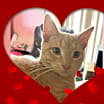 Thumbnail photo of Dudley #1