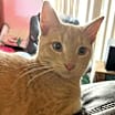 Thumbnail photo of Dudley #2