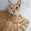 Thumbnail photo of Dudley #3