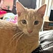 Thumbnail photo of Dudley #4