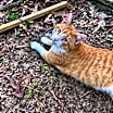 Thumbnail photo of Buster #4