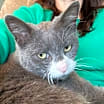 Thumbnail photo of Susan #2
