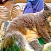 Thumbnail photo of Susan #3